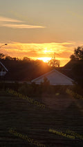 Sunset Behind Houses and Trees