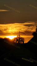 Sunset Behind Trees and Flag