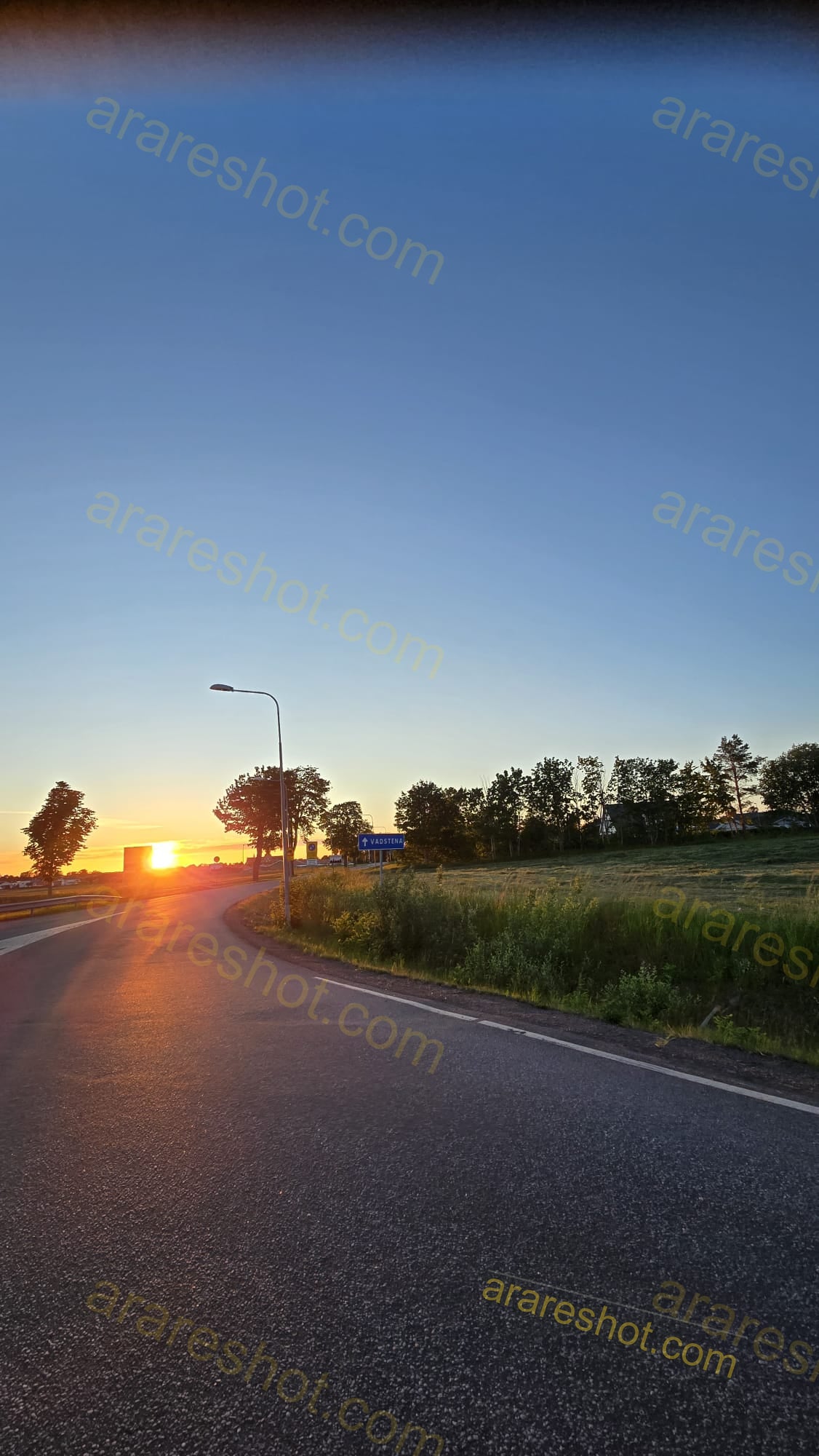 Road with Streetlamp and Trees at Sunset
