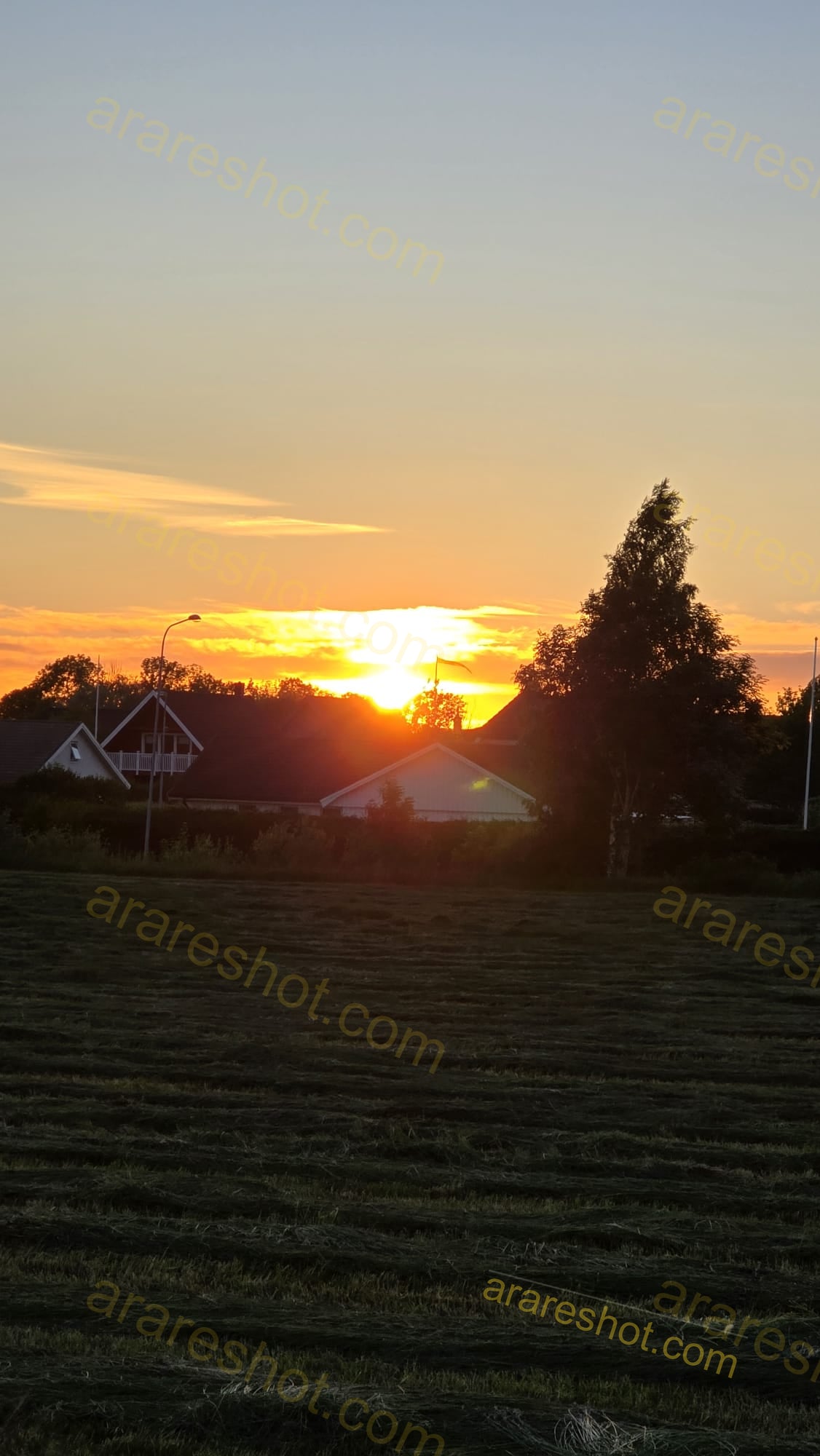 Sunset Behind Houses with Tree and Lawn