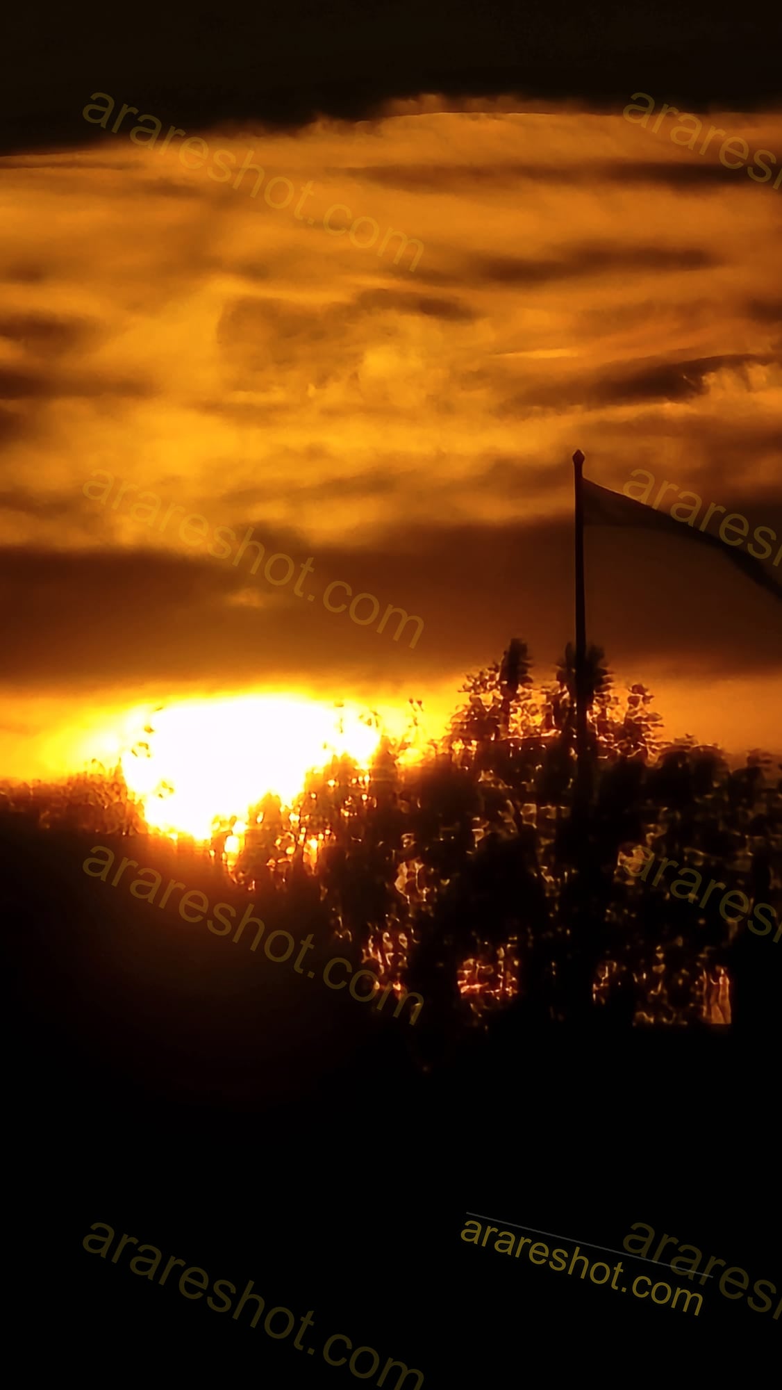 Sunset with Tree Silhouette and Flag