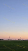 Wind Turbines on Green Field at Dusk