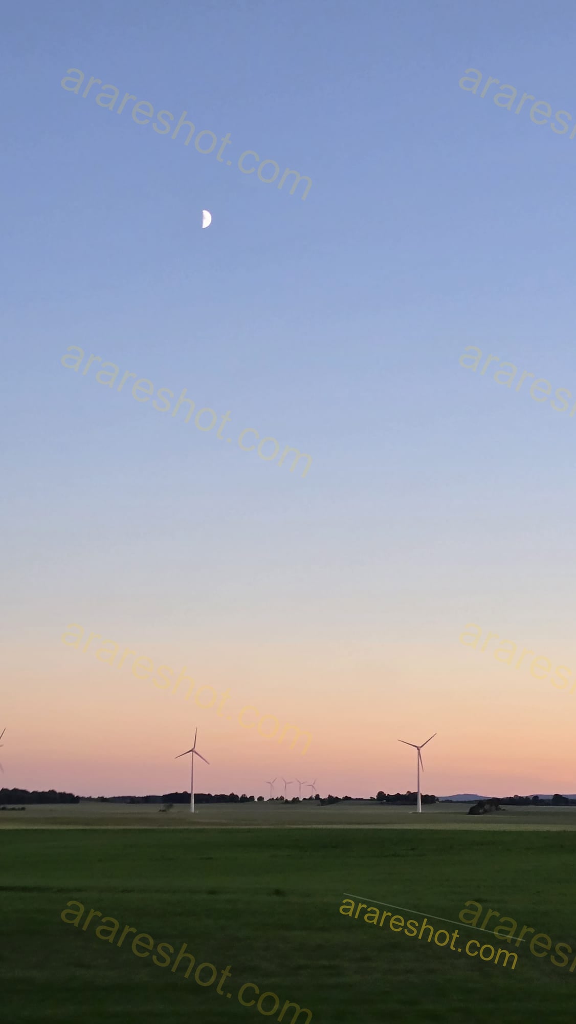 Wind Turbines on Green Field at Dusk