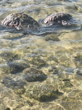 Rocks Under Clear Water