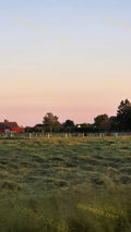 Rural Field with Trees and Houses