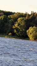 River with Green Trees on Shore