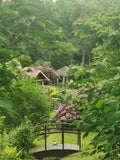 Wooden Garden Bridge in Flowering Greenery