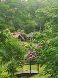 Wooden Bridge in Green Garden with Flowers