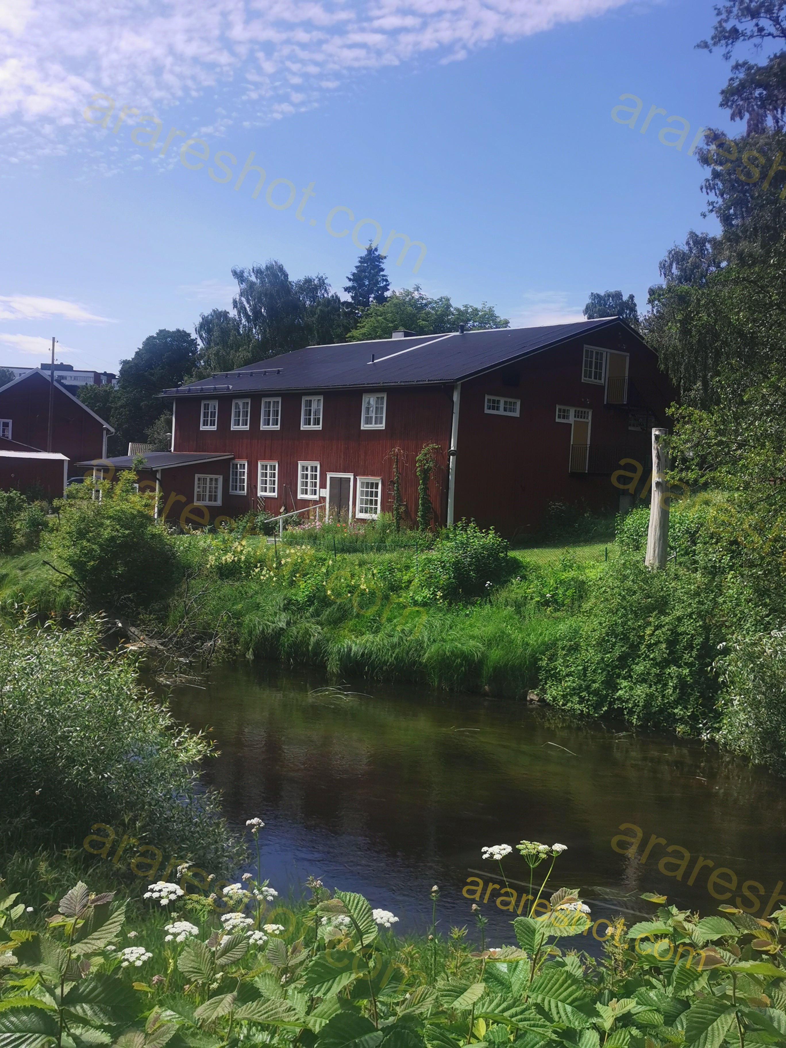 Red House by River with Green Vegetation