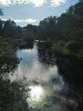 Tranquil River Reflection Surrounded by Lush Greenery