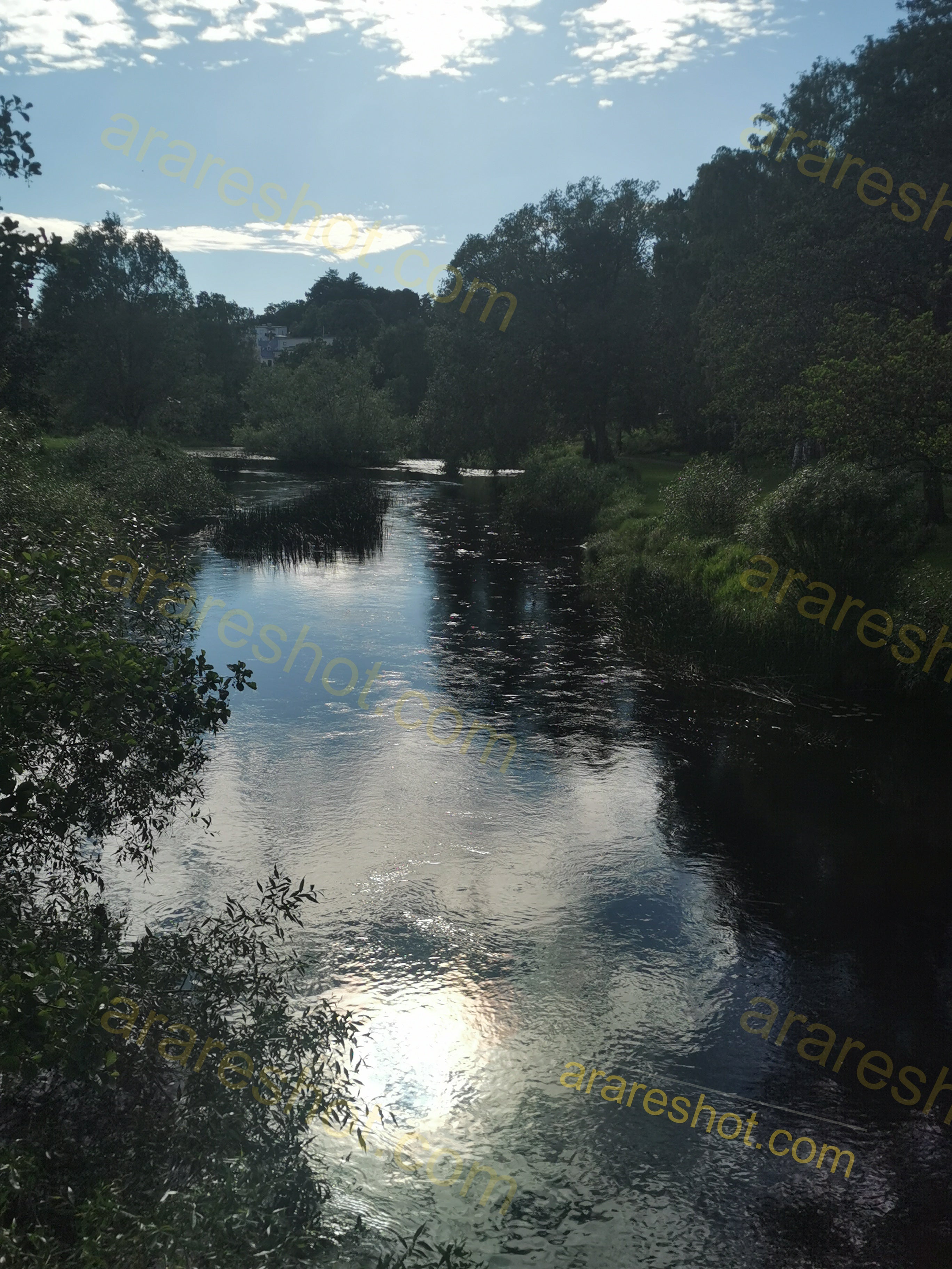 Tranquil River Reflection Surrounded by Lush Greenery