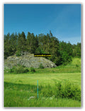 Rocky Hill and Pine Forest Landscape