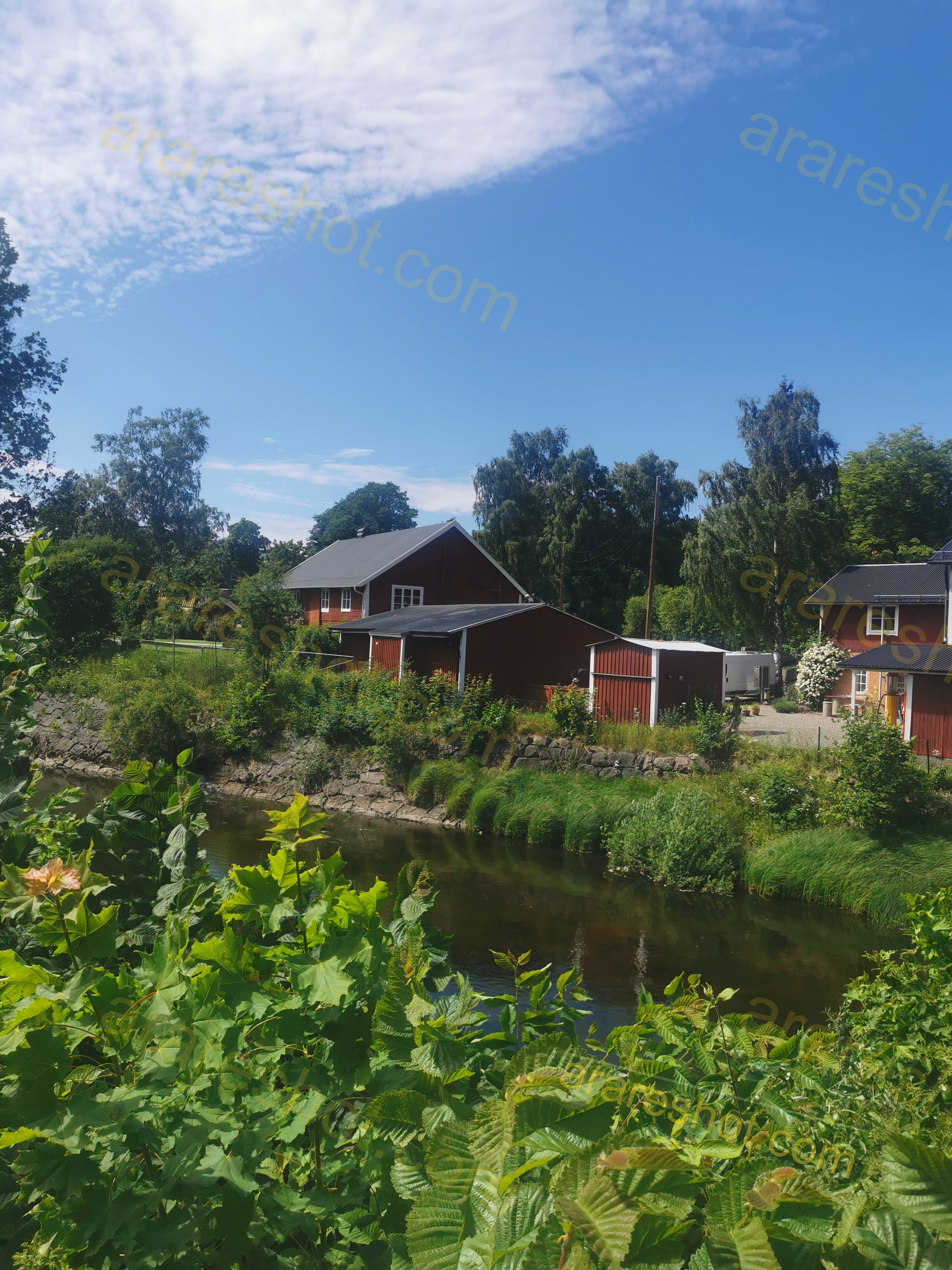 Red Houses Near Small River with Greenery
