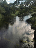 Serene River Flowing Through Lush Greenery with Sky Reflection