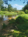 River with Green Trees and Bridge