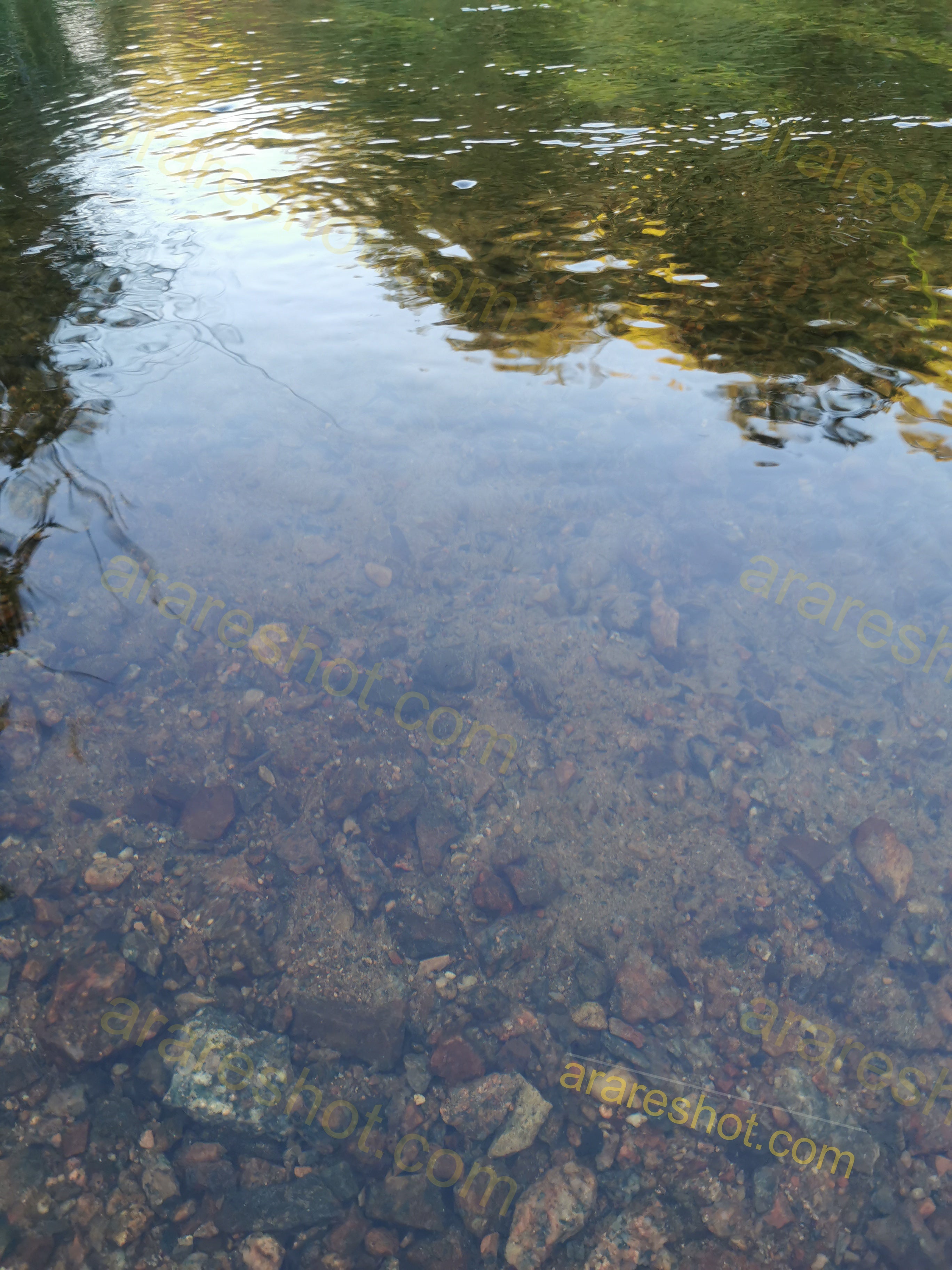 Clear Shallow Water with Rocks and Reflected Trees