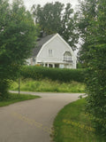 White House Behind Green Trees and Hedge