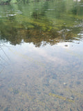 Clear Shallow River Water with Sand and Rocks