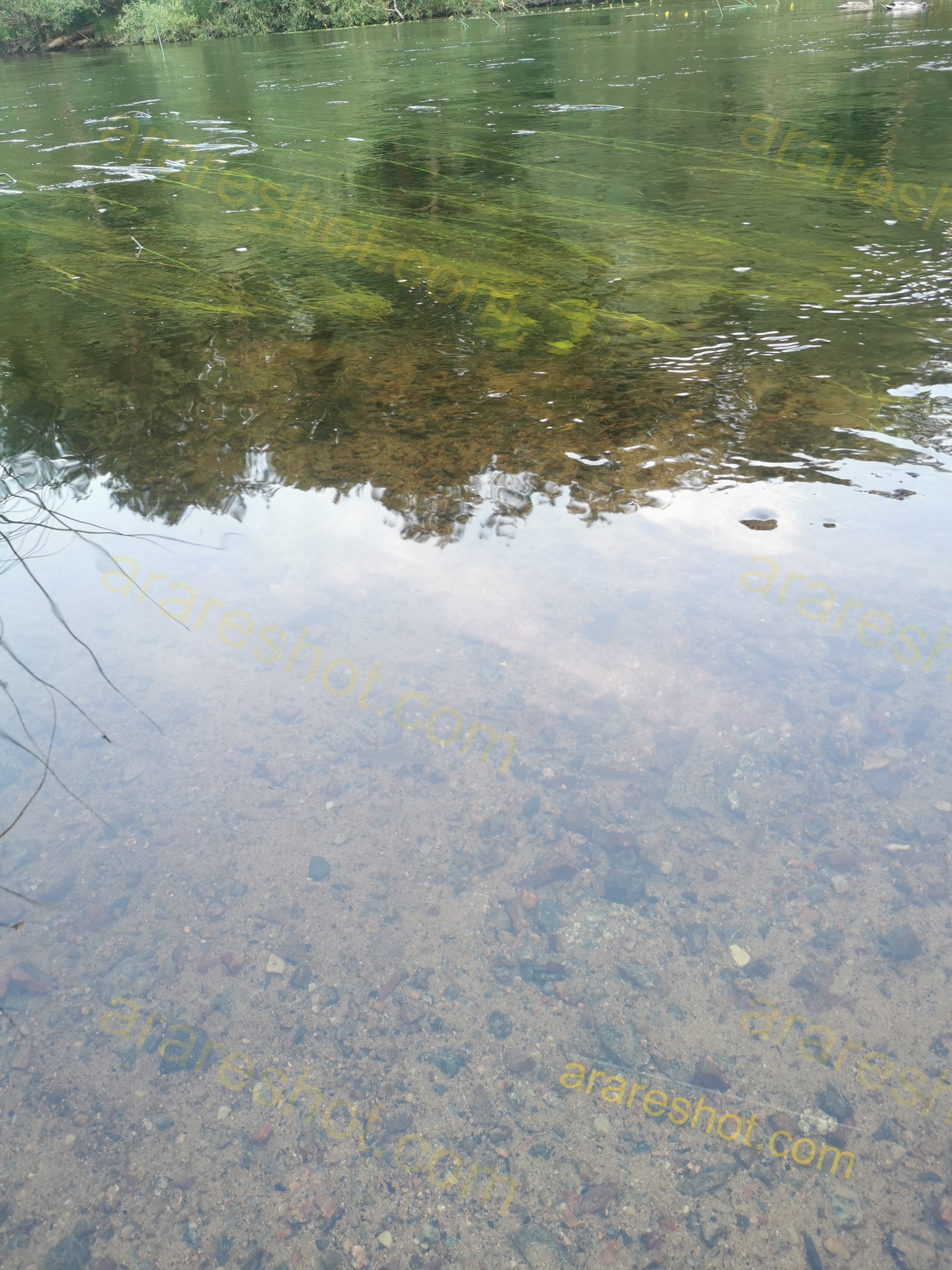 Clear Shallow River Water with Sand and Rocks