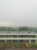 Apartment Building with Garden and Trees in Rain