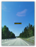 Forest Highway Stretch on a Bright Clear Day