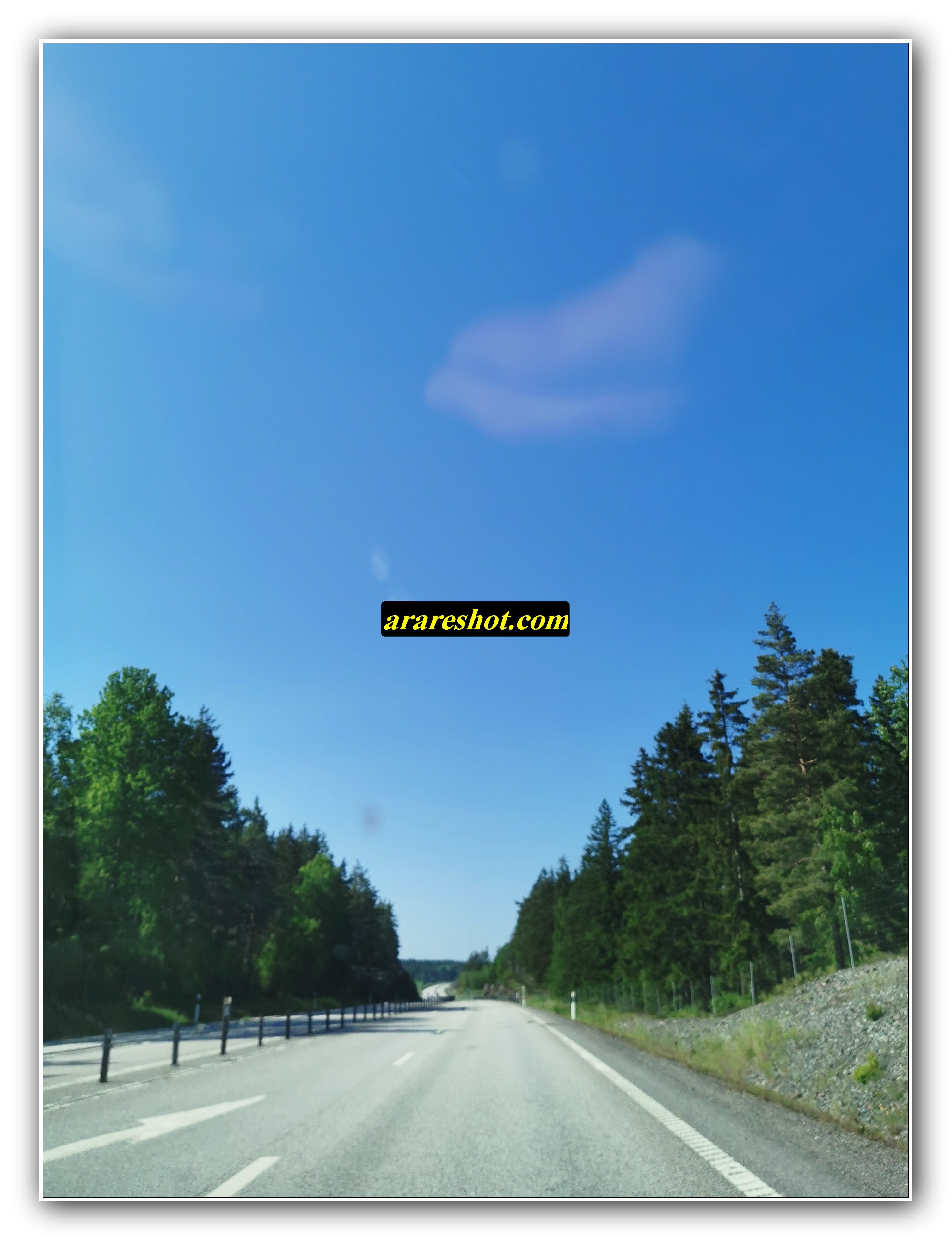 Forest Highway Stretch on a Bright Clear Day