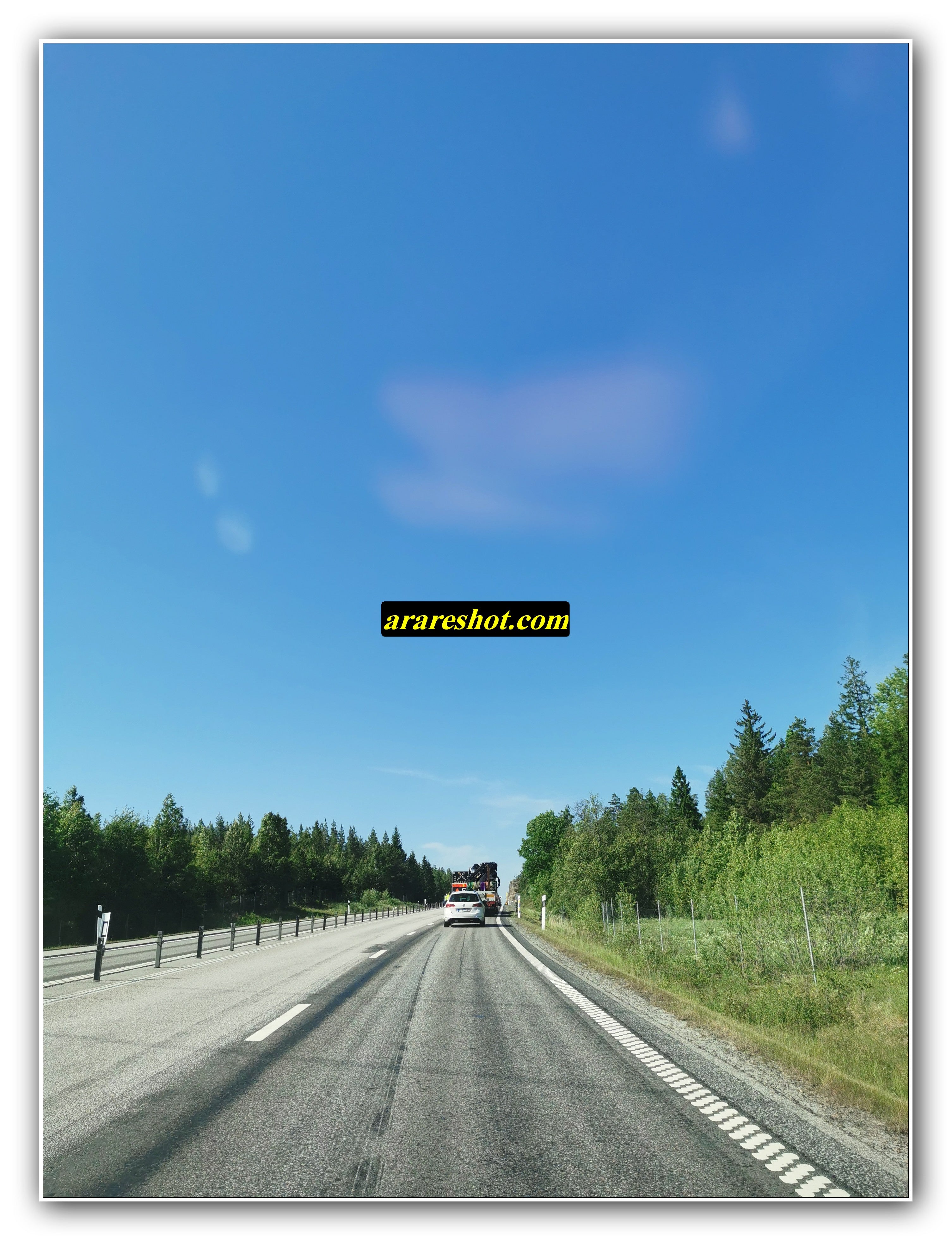 Timber Truck on a Forest Highway Under Clear Skies