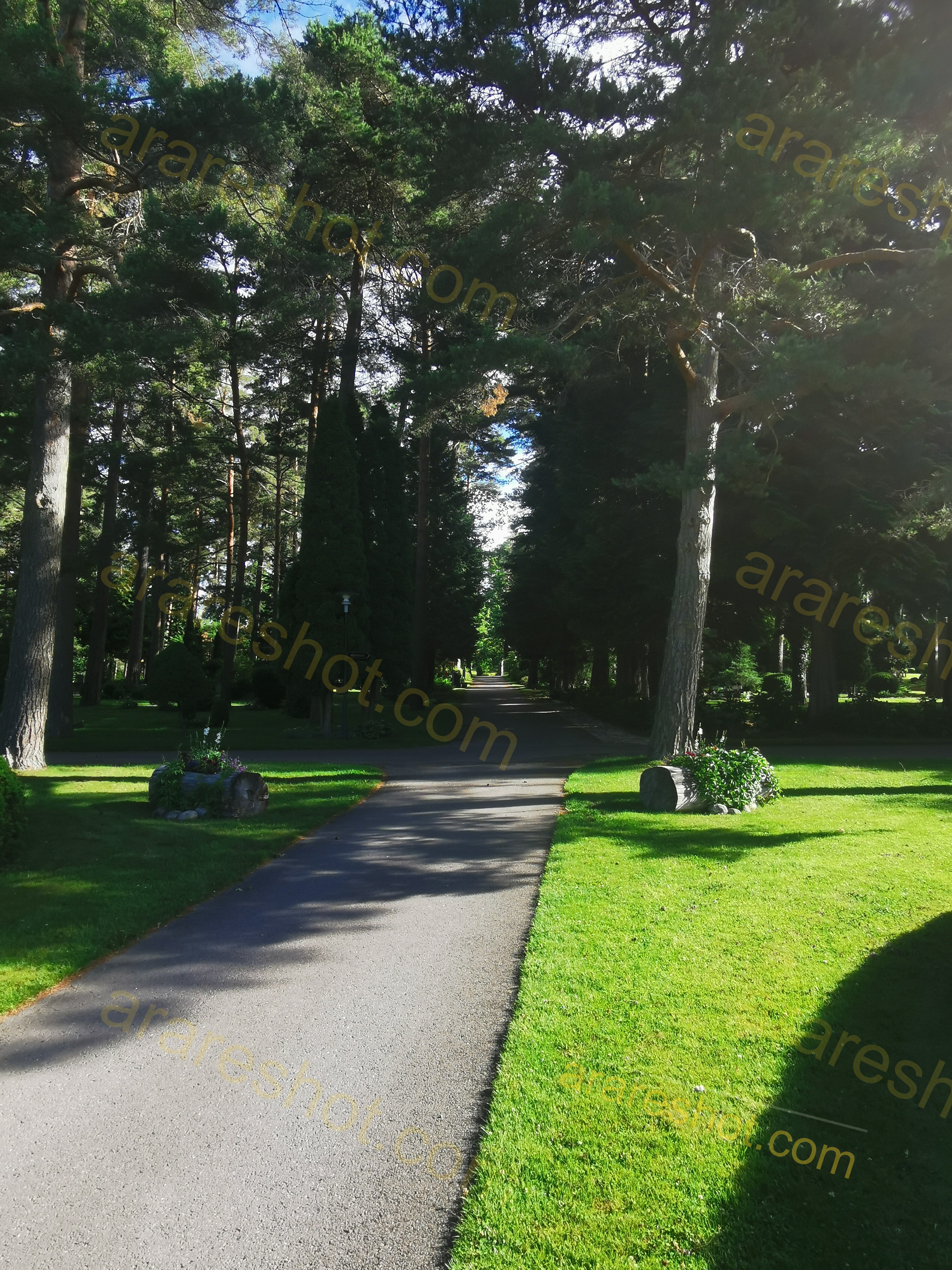 Sunlit Park Pathway with Bench and Lush Greenery