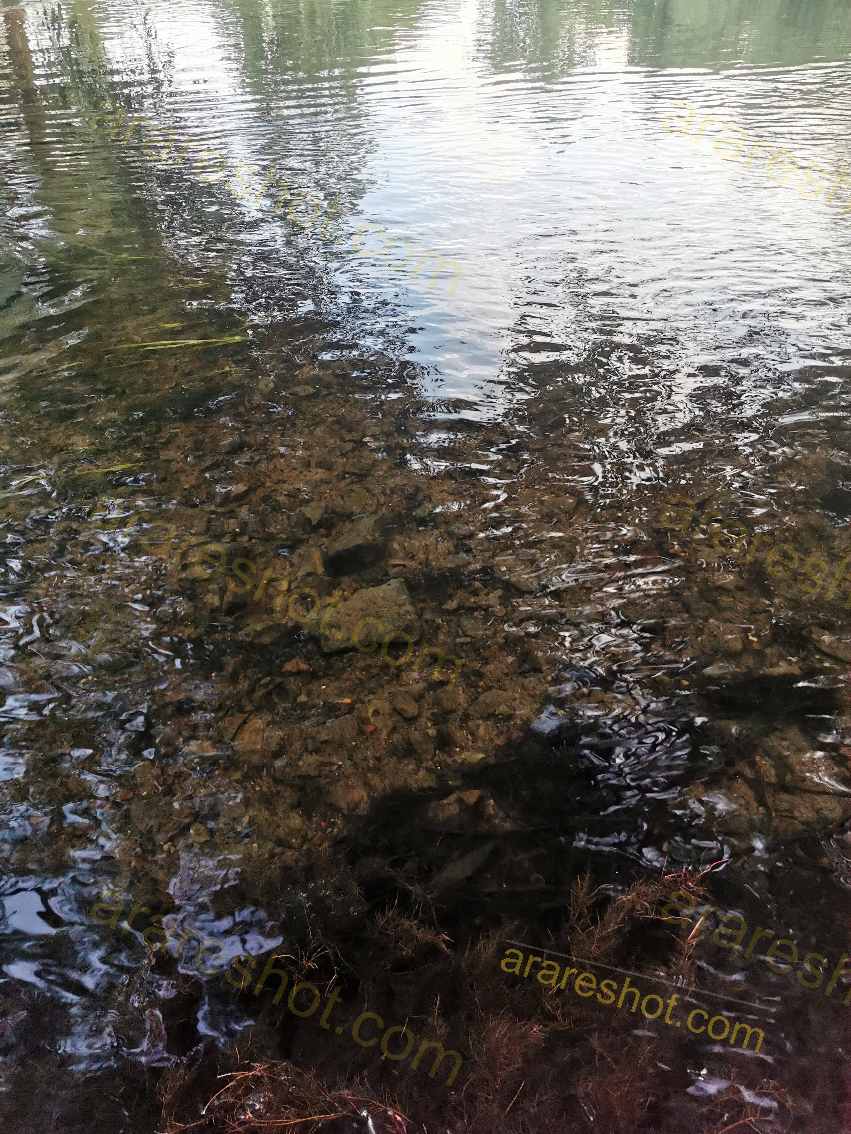Clear Shallow Water with Rocky Bottom