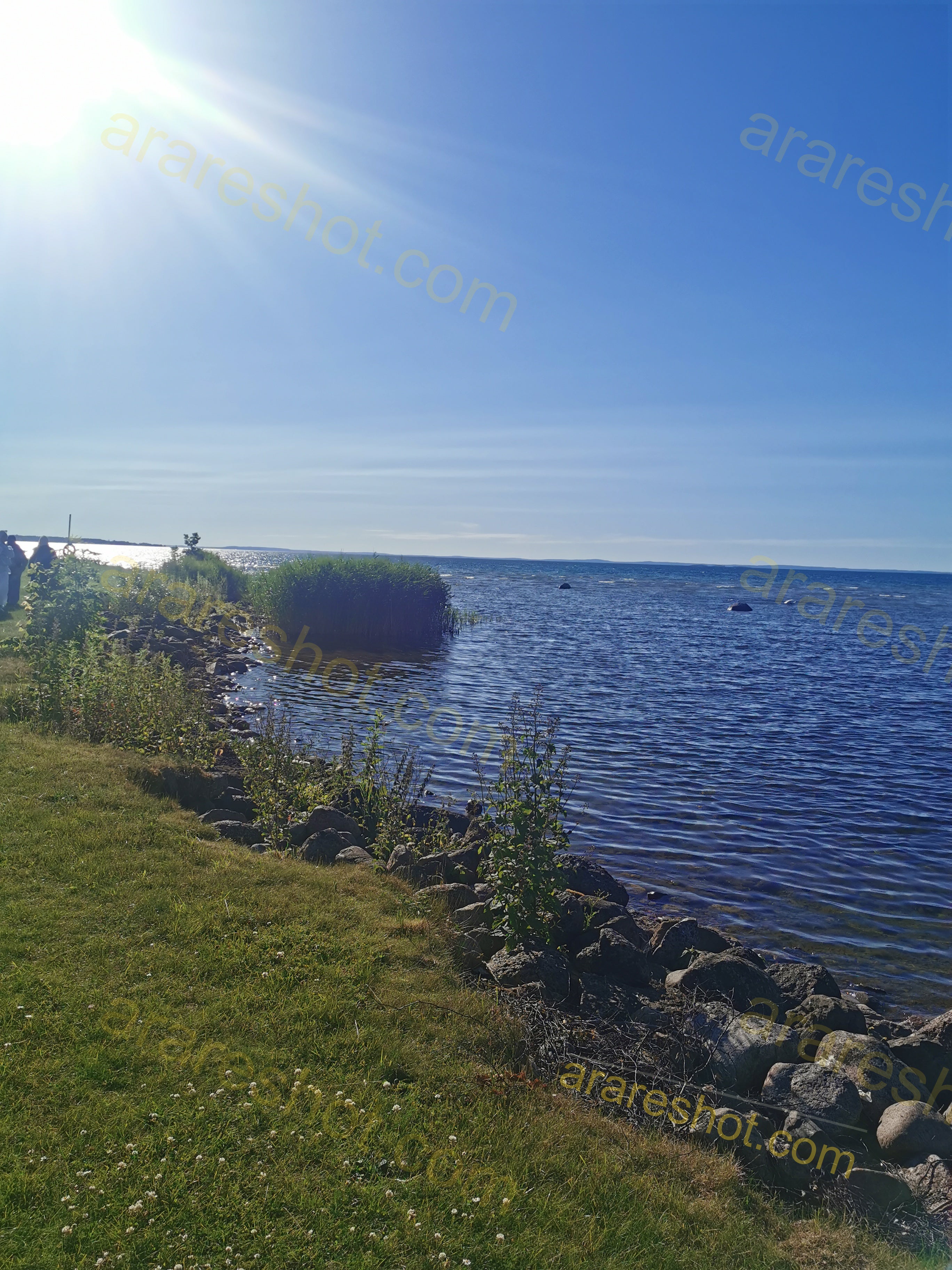 Rocky Shoreline with Grass and Water