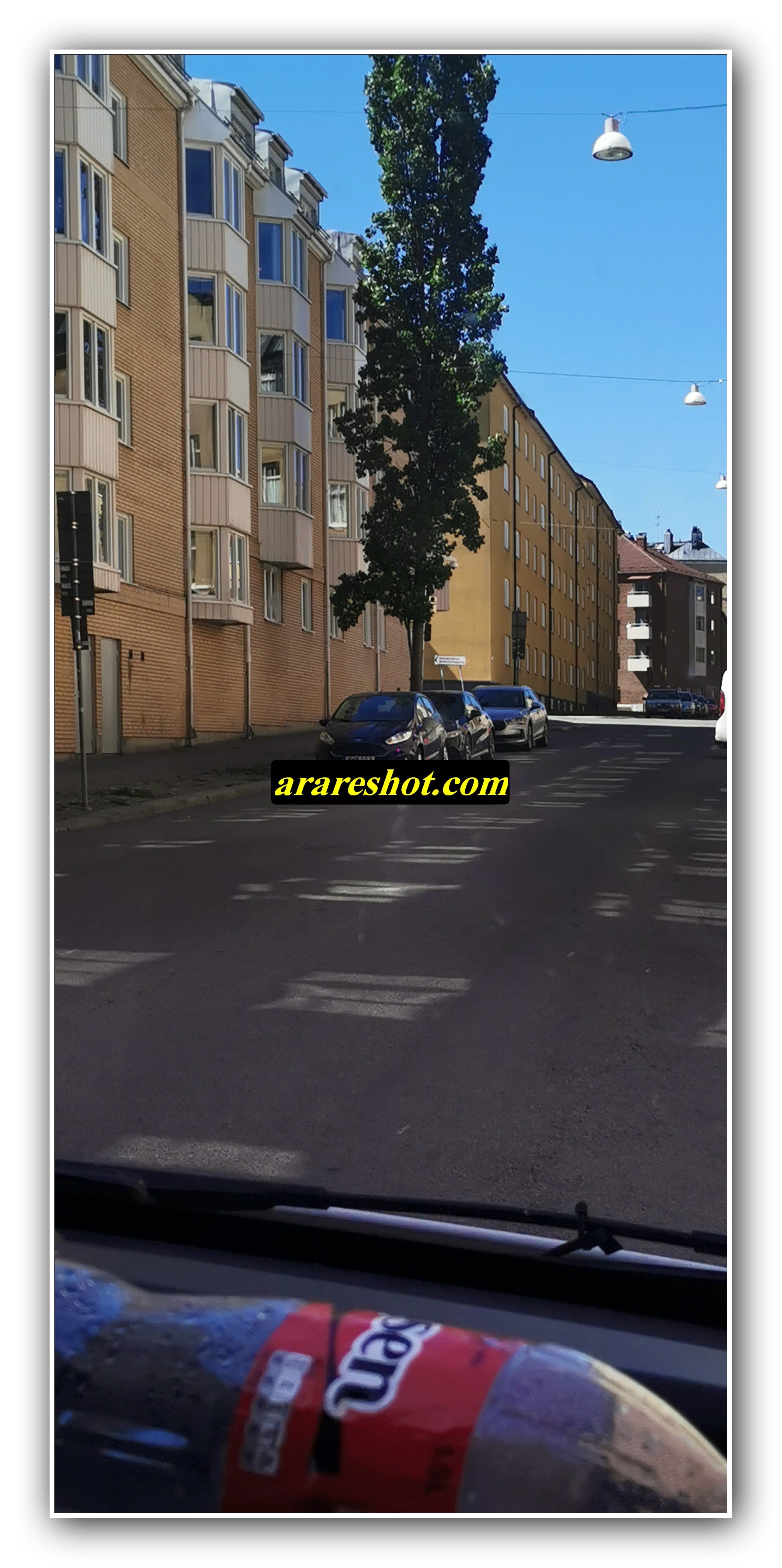 Quiet Residential Street on a Sunny Day