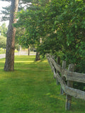 Green Grass with Trees and Wooden Fence