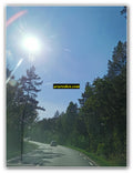 Forest Road Journey
