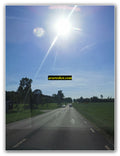 Sunlit Countryside Route