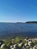 Rocky Shoreline with Green Plants and Blue Water