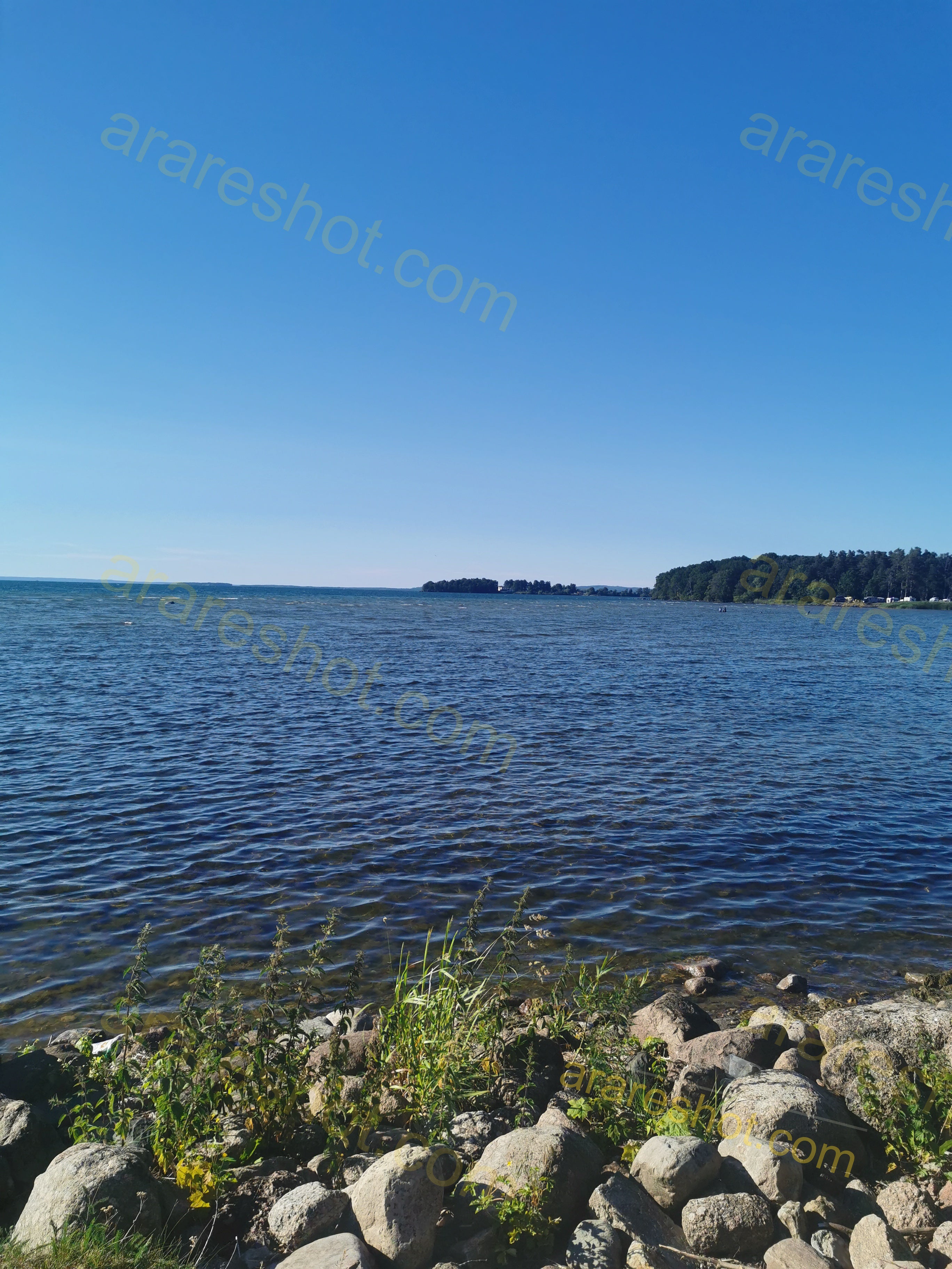 Rocky Shoreline with Green Plants and Blue Water