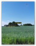 Endless Green Plains