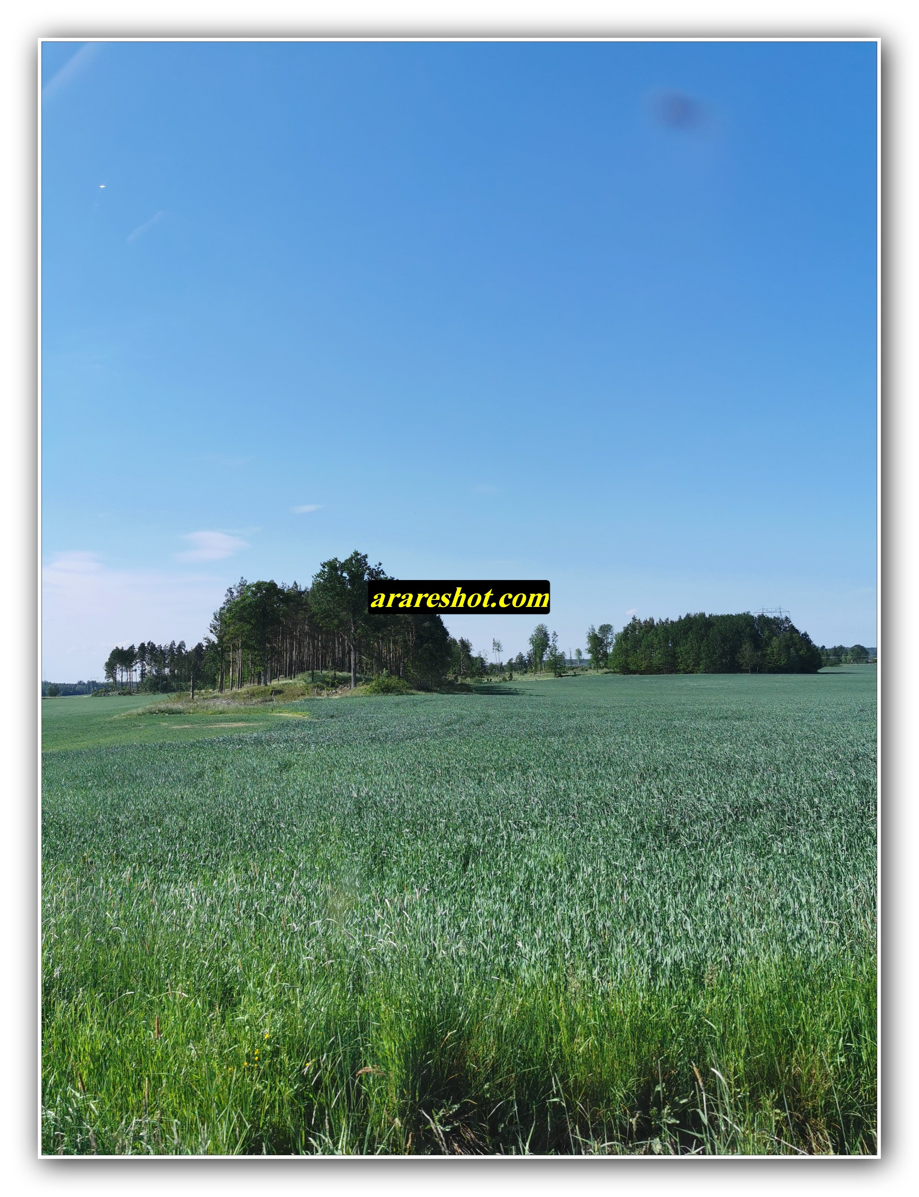 Endless Green Plains
