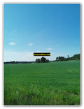 Vast Rural Meadow