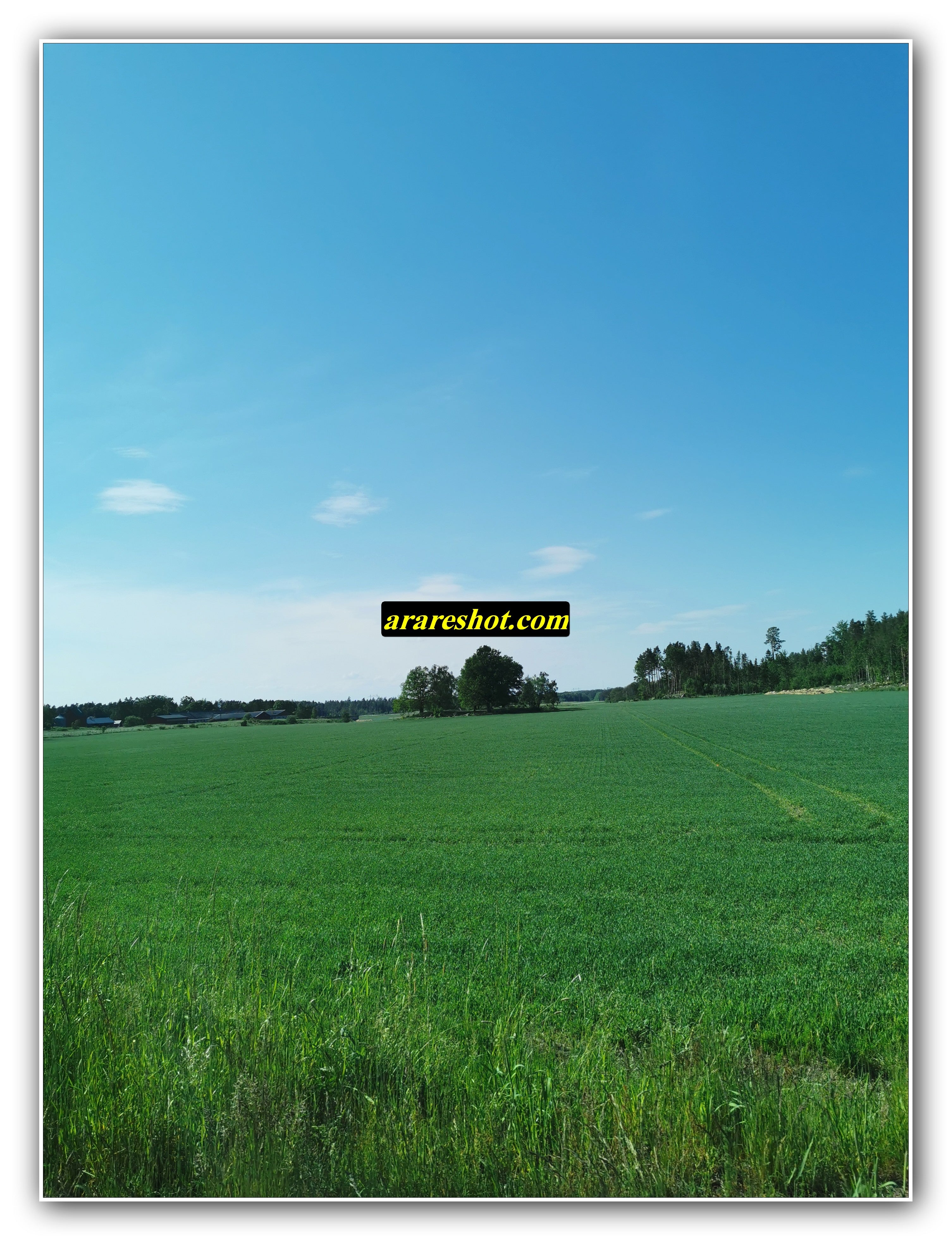 Vast Rural Meadow