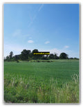 Emerald Countryside View