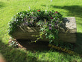 Log Planter with Flowering Plants