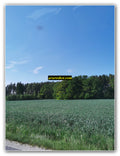 Green Horizon Stretch