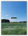 Golden Meadow Layers