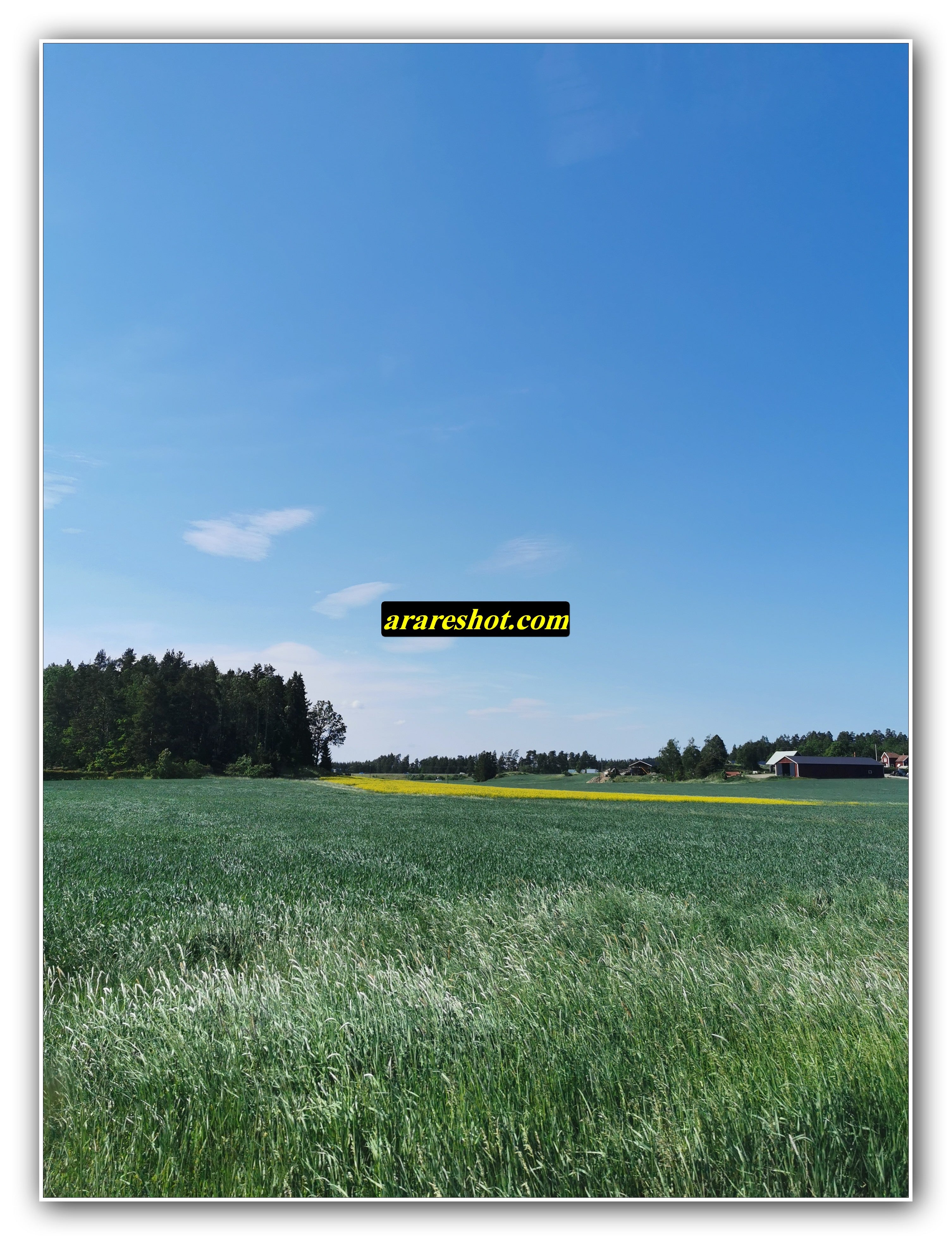 Golden Meadow Layers