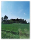 Serene Pasture View