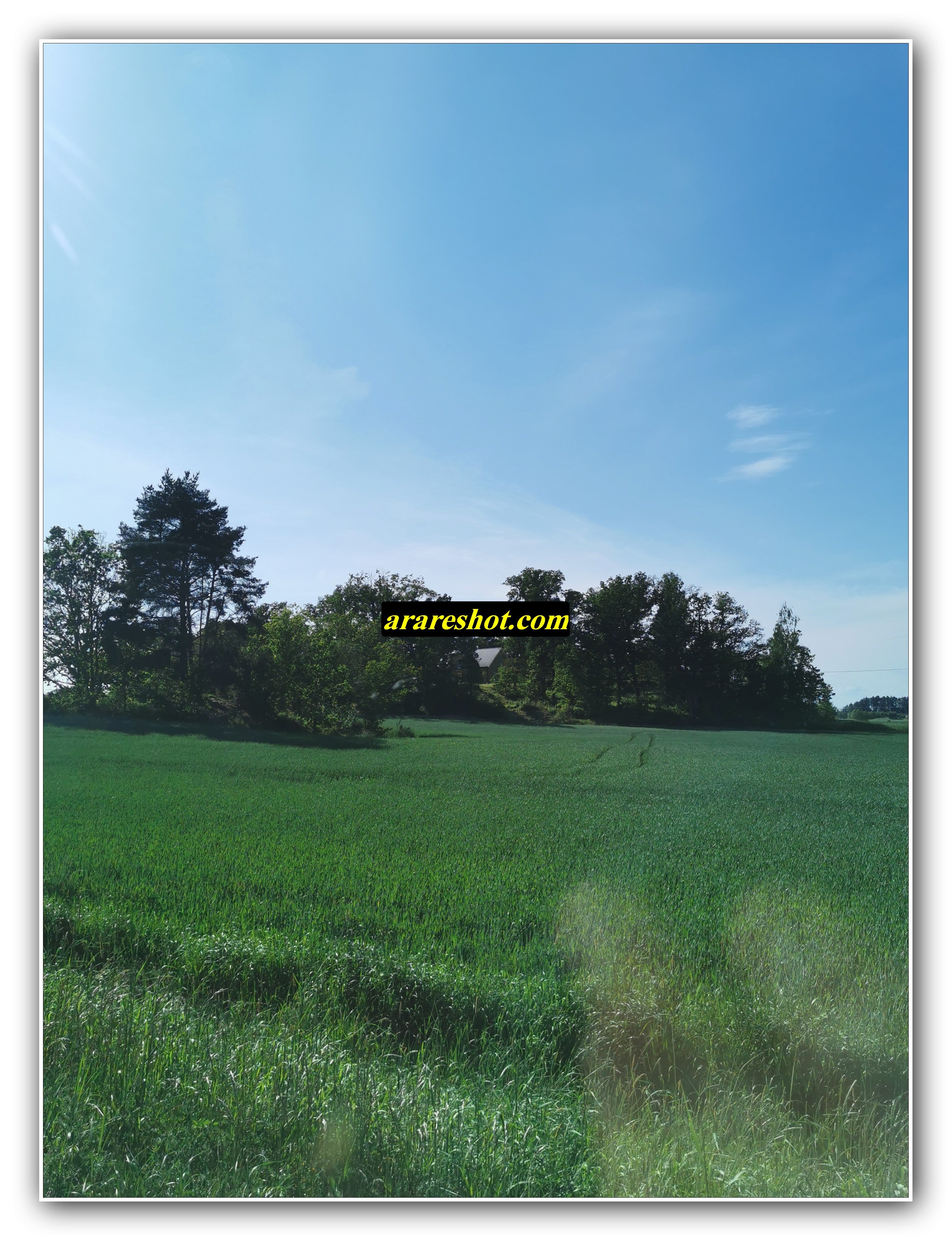 Serene Pasture View