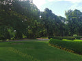 Green Park with Trees and Bushes