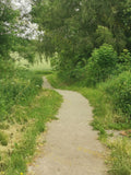 Curved Dirt Path with Grass and Trees