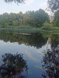 River with Trees and Grass Reflected on Water